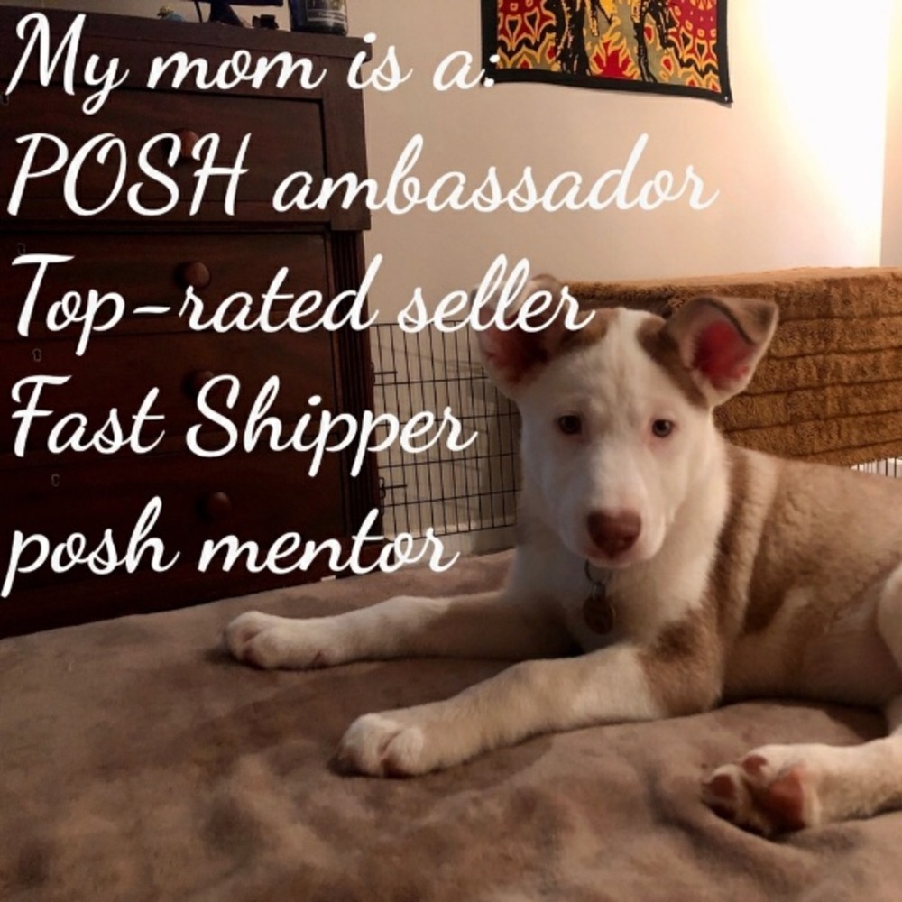 Don’t Just Go Down Halfway Go To The Bottom - image 1